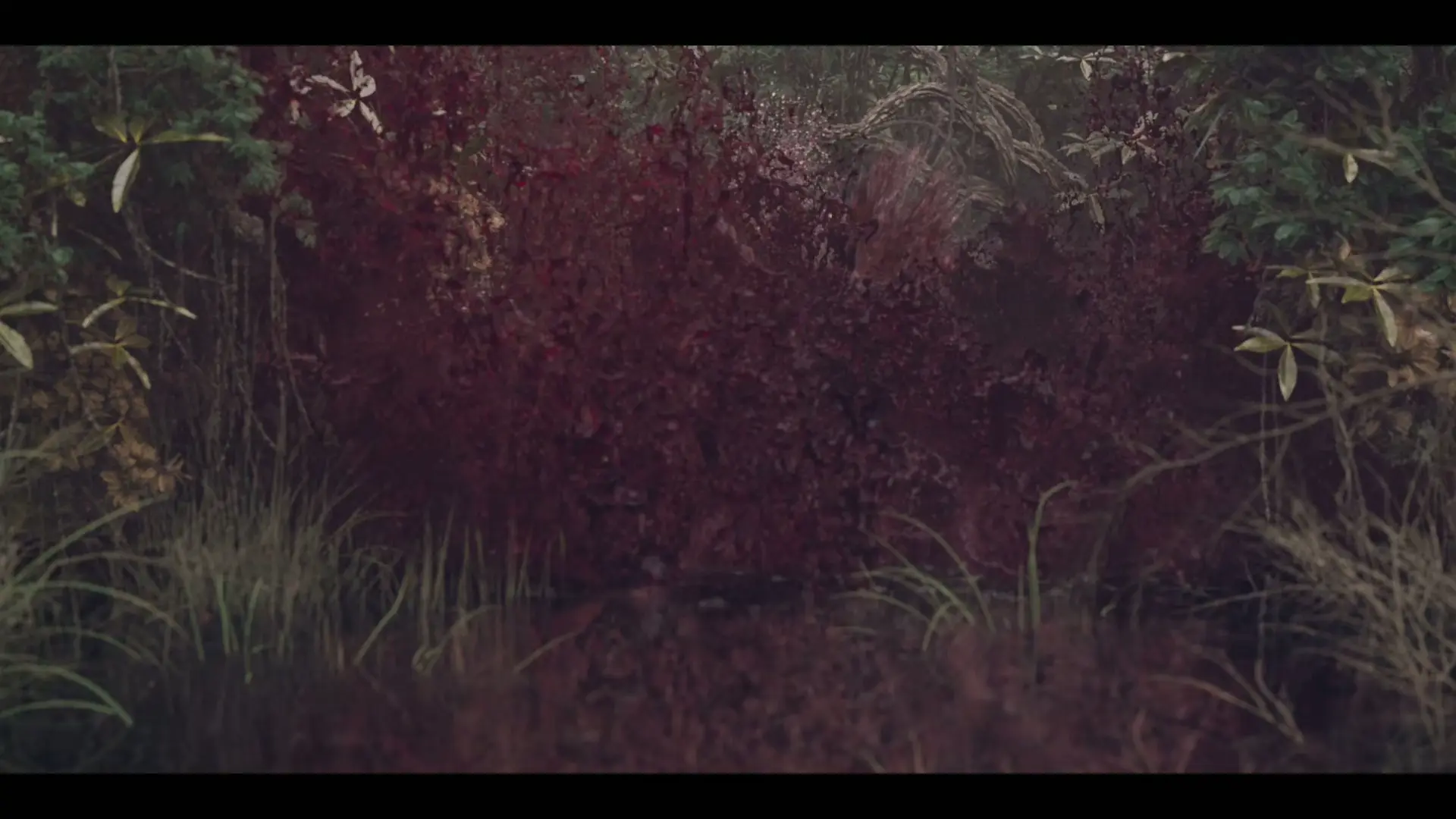 Джыбара screenshot