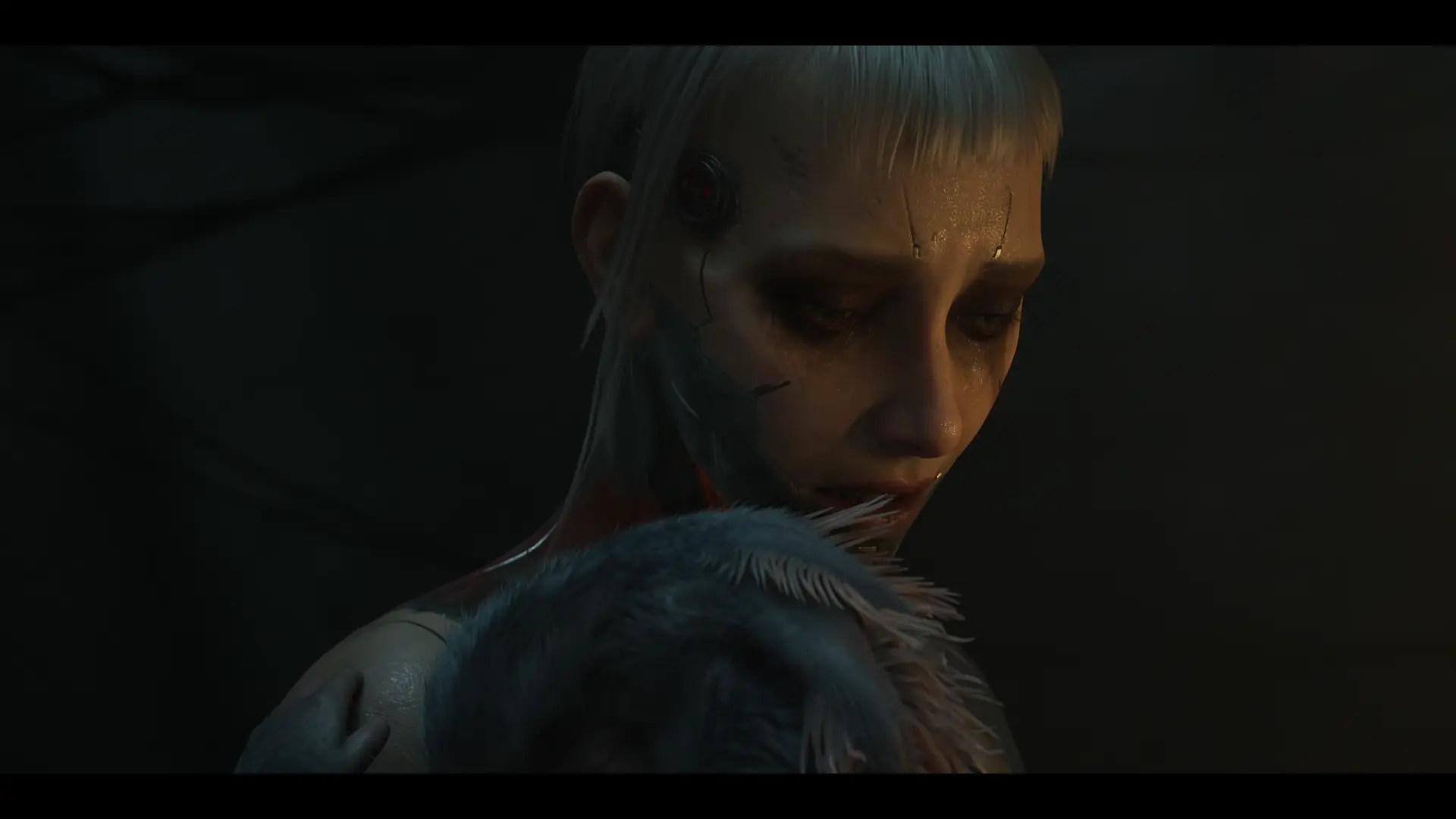 Павучая ружа