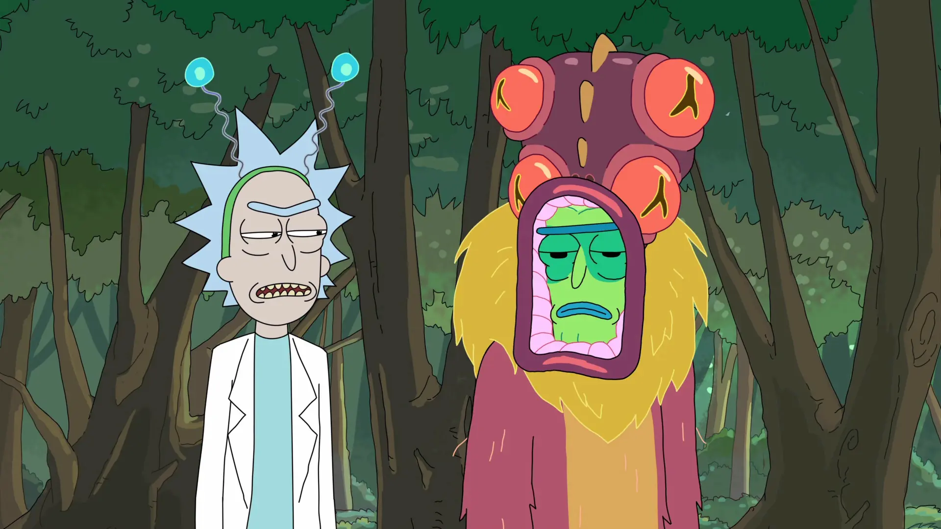 Рыкі, мабыць, звар'яцелі